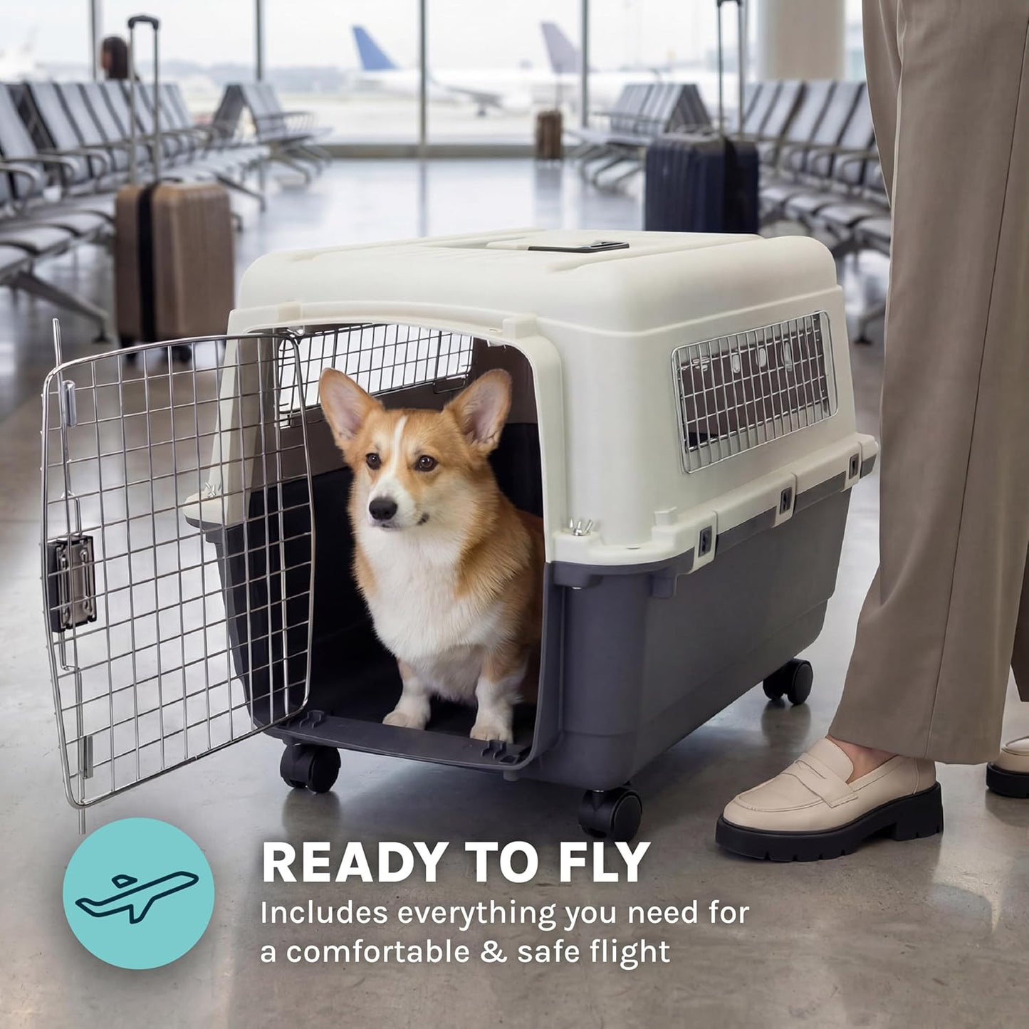 Plastic Kennels Rolling Plastic Wire Door Travel Dog Crate - Medium