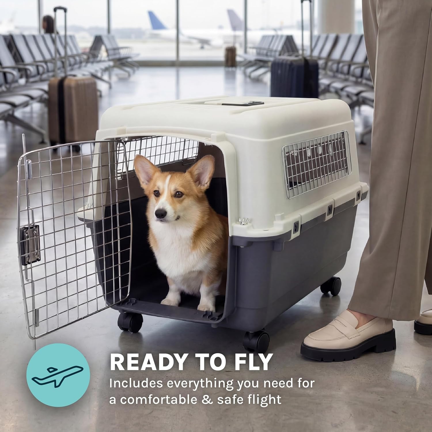 Plastic Kennels Rolling Plastic Wire Door Travel Dog Crate - Medium