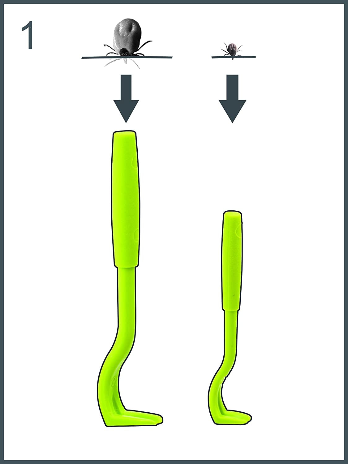 Tick Remover Set with Small and Large